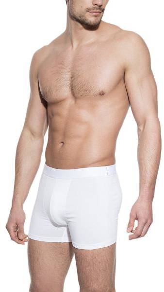 Bread and Boxers Boxer Brief Kalsonger Vit ekologisk bomull Small Herr 