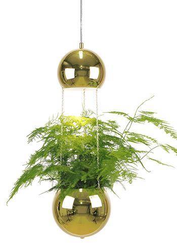Taklampa Mini Planter (Mässing/Guld) (Fönsterlampor i kategorin Lampor)