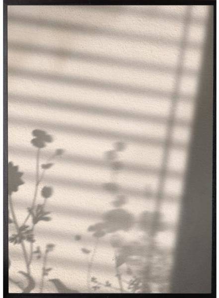 Poster - Flower shadow - 21x30 cm 