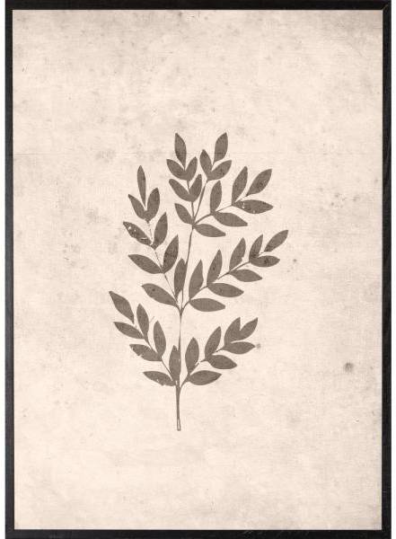 Poster - Spring leaf - 21x30 cm 
