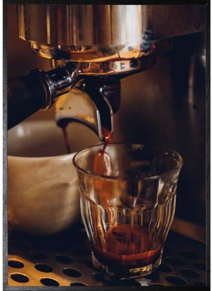 Poster - Barrista - 21x30 cm 