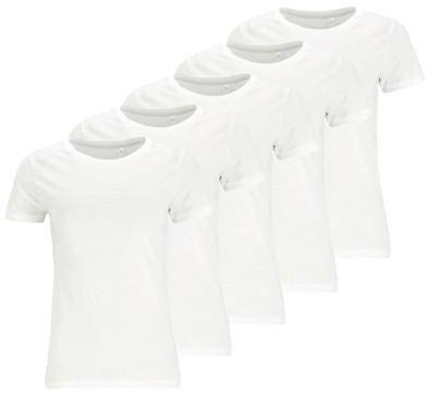 Denim Factory Core Tee W 5-Pack 