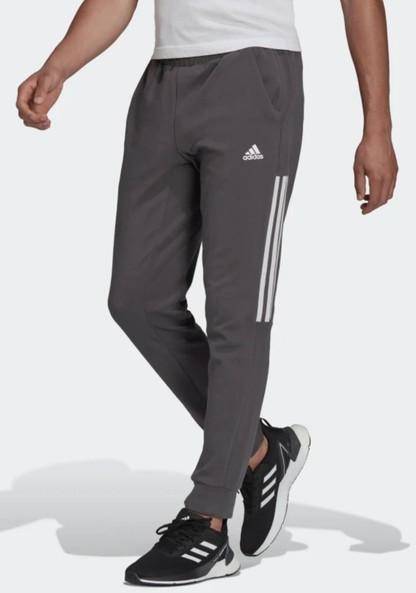 Motion Pant 