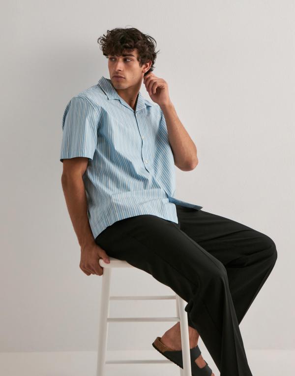 Selected Homme Slhrlxholger Stripe Ss Shirt Randiga skjortor Blå 