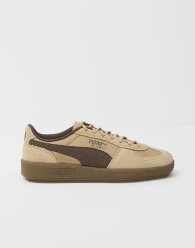 Puma - Brun - Palermo Pop 