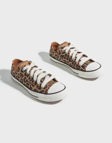 Converse - Multi/Mönstrad - Chuck Taylor All Star Leopard