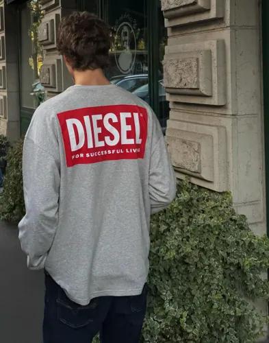 Diesel T-Boxt-Ls-Bisk T-Shirt Långärmade t-shirts Grå
