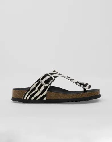 Scholl - Multi/Mönstrad - Anais Animal 