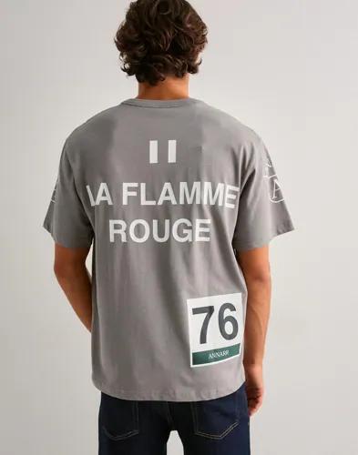 ANNARR Anrbrian Ss O-Neck Tee T-shirts med tryck Grå 