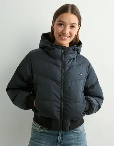 Levi's - Svart - Noe Western Crop Puffer 