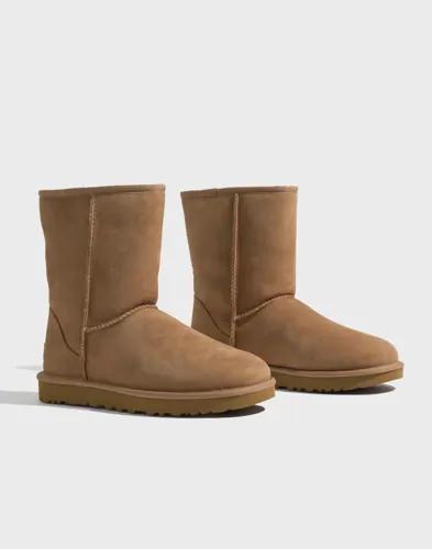 UGG - Brun - W Classic Short II 