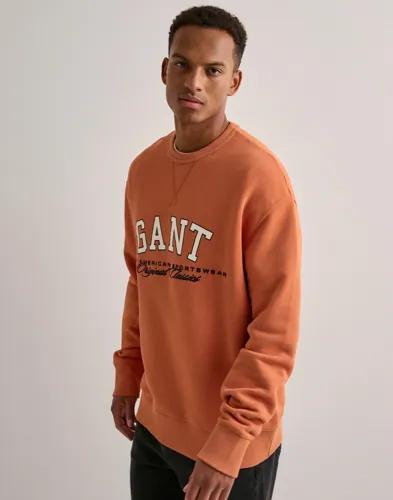Gant Graphic Sweatshirt Sweatshirts Orange 